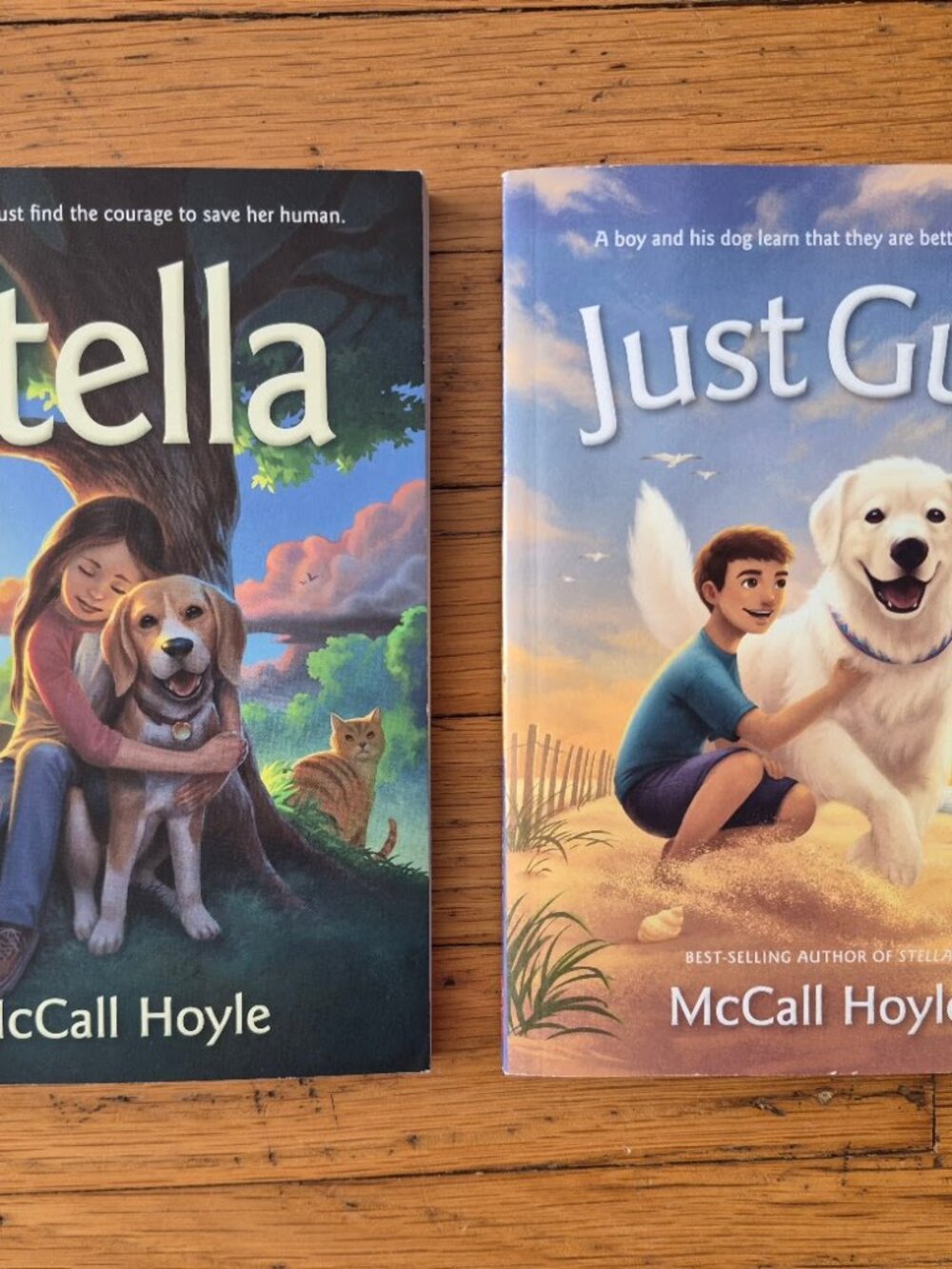 Stella and Just Gus Children's Books by McCall Hoyle